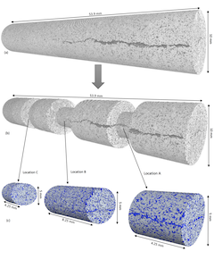 data sample under microscope